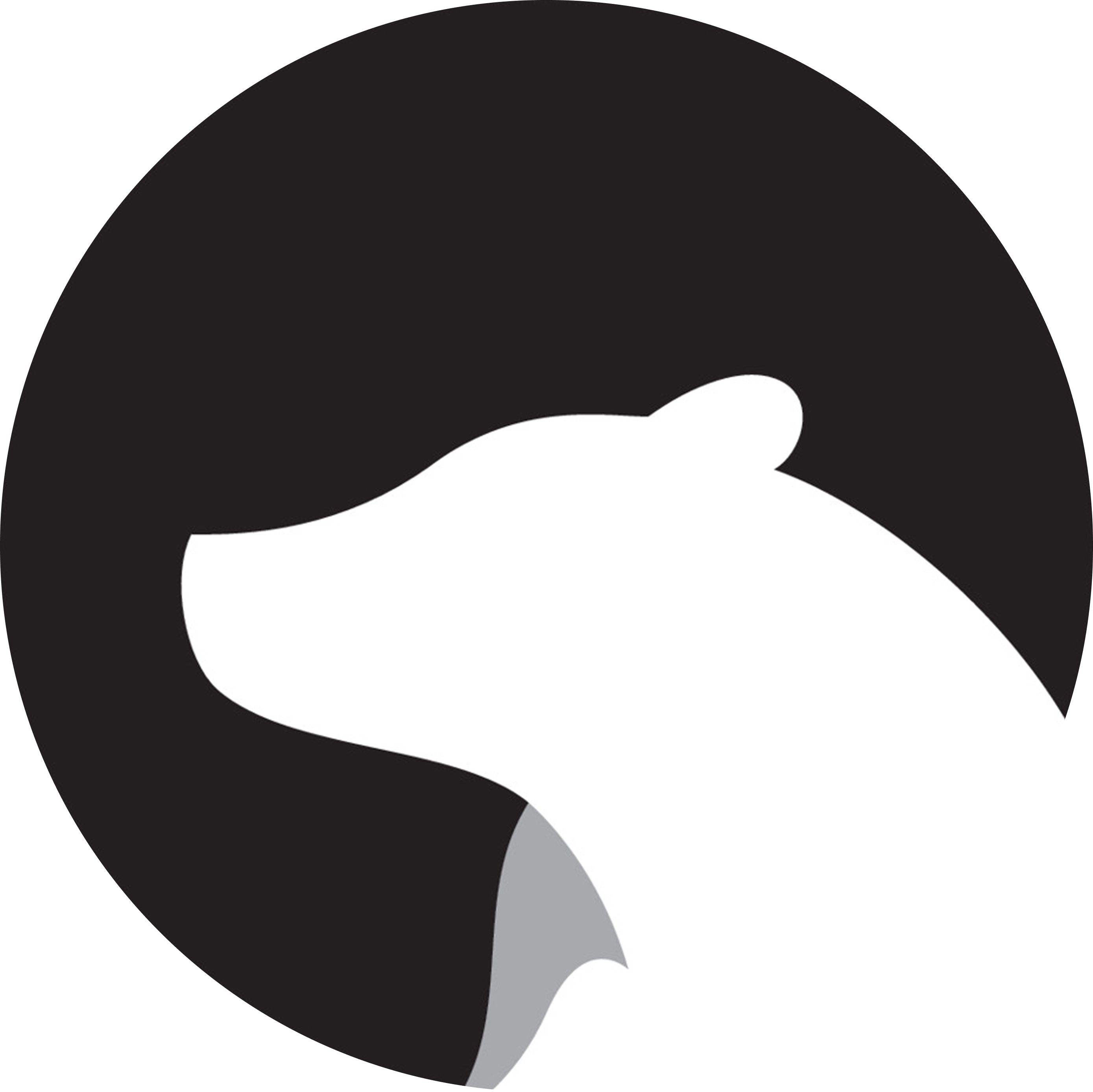 Polar Theme